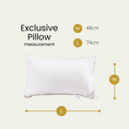 Load image into Gallery viewer, Silver Infused Organic Cotton Exclusive Pillow