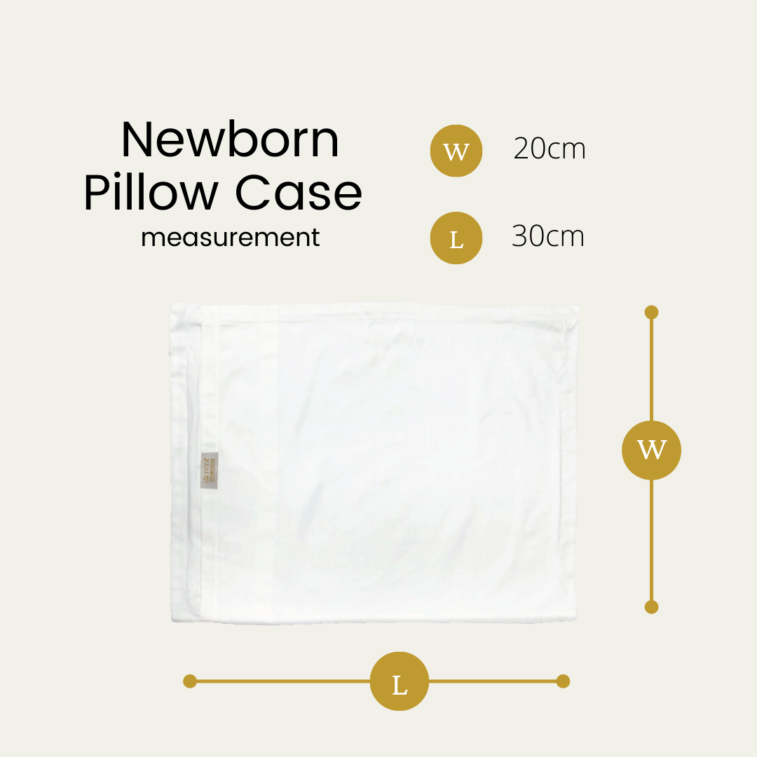 Silver Infused Organic Cotton Pillow Case